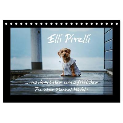 Elli Pirelli... aus dem Leben eines fröhlichen Pinscher-Dackel-Mädels (Tischkalender 2025 DIN A5 quer), CALVENDO Monatskalender