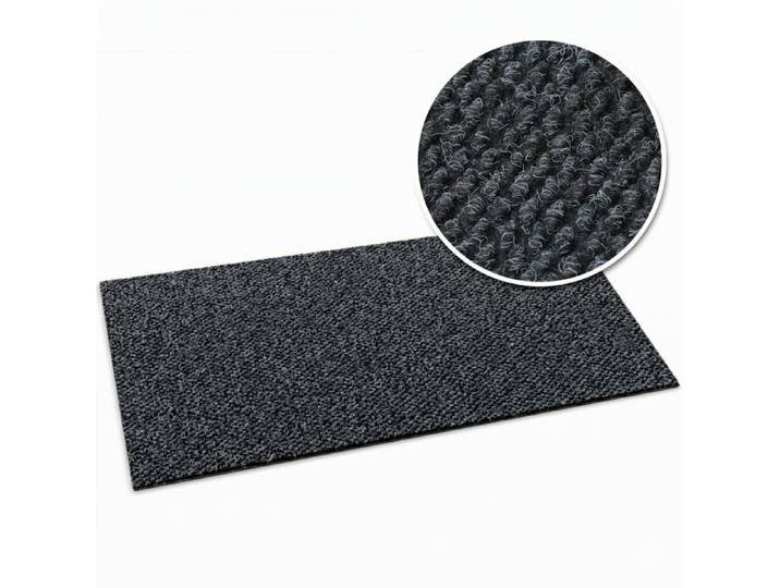 Tapis anti-salissures Hong Kong Pro Anthracite 100 x 350 cm