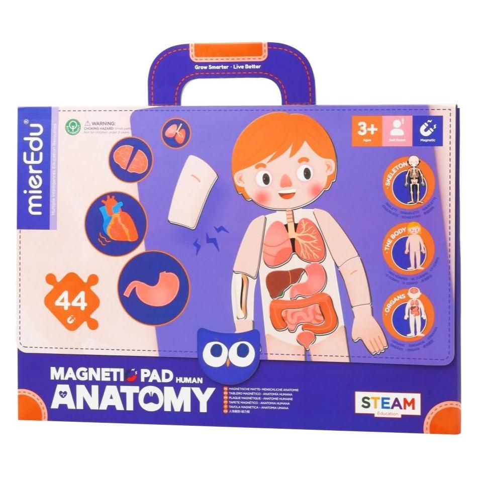 mierEdu Magnet Pad - Menschliche Anatomie (Deutsch, Englisch, Französisch, Italienisch, Multilingual) (ME0511)
