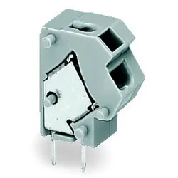 WAGO GmbH &amp; Co. KG 2LeiterLeiterplattenklemme 254-816