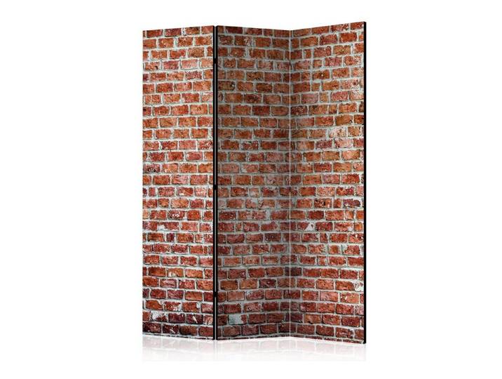 Basera® Paravent 3-teiliger Raumteiler, Motiv f-B-0030-z-b