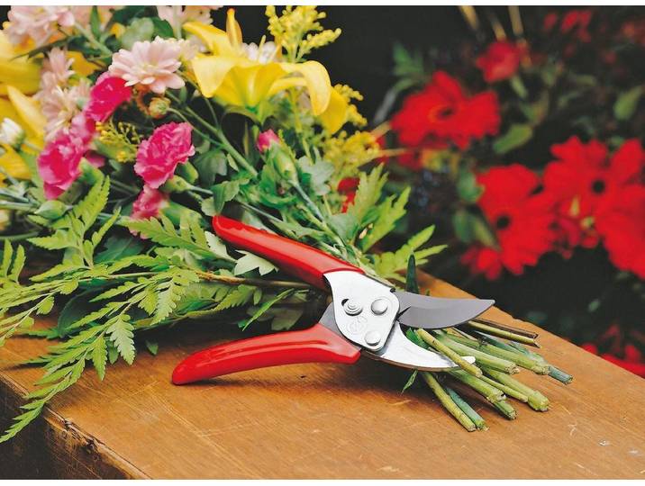 WOLF-Garten RR-EN - Snoeischaar - max. knipdiameter 19 mm - geschikt voor links- en rechtshandige