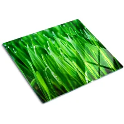 GLASPLATTE 60x52 cm Gras