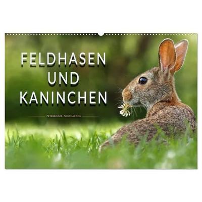 Feldhasen und Kaninchen (Wandkalender 2026 DIN A2 quer), CALVENDO Monatskalender