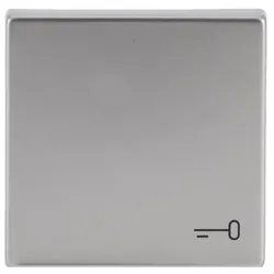 Busch-Jaeger Wippe mit Aufdruck 2520 TR-866