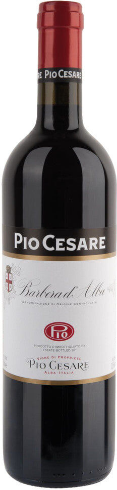 Barbera d'Alba Pio Cesare 2023