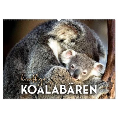 Knuffige Koalabären (Wandkalender 2027 DIN A2 quer), CALVENDO Monatskalender