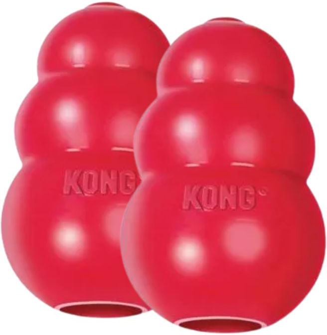 KONG Classic KIT 2PZ - M