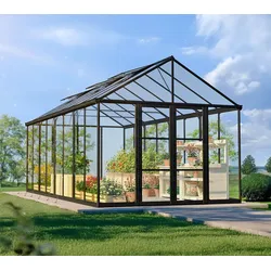 Palram - Canopia Aria 1020 | Alu Gewächshaus mit Fundament | Schwarz | 6x3 m - Schwarz