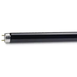 Philips TL 6W BLB 1FM Schwarzlicht UV-A Lampe G5 226mm