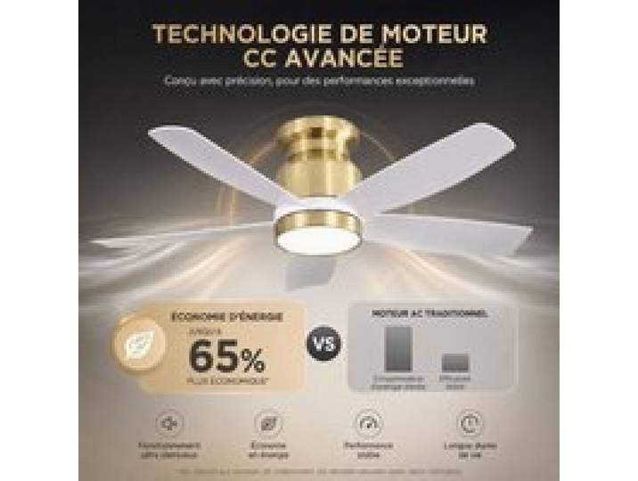 Brasseur d’air plafond silencieux 106 cm lumineux lumière dimmable trois teintes minuterie intégrée 6 vitesses