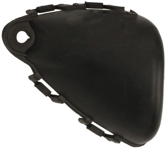 BLIC 6502-07-3529913FP Bumper moulding