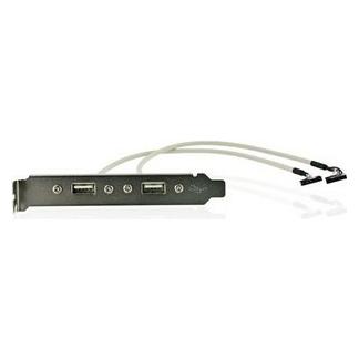 Delock Slotblech 2x USB 2.0 zu 10 Pin Header (0.30 m, USB 2.0) (71000)