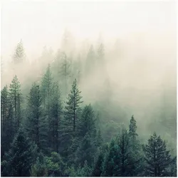 FOTOTAPETE Wald im Nebel Erwachen 192/192 cm