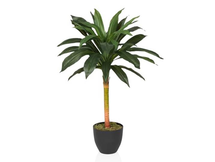 hjh OFFICE Kunstpalme 85cm Dracaena I Künstlicher Drachenbaum Kunstpflanze, Deko Palme für Büro Wohnzimmer