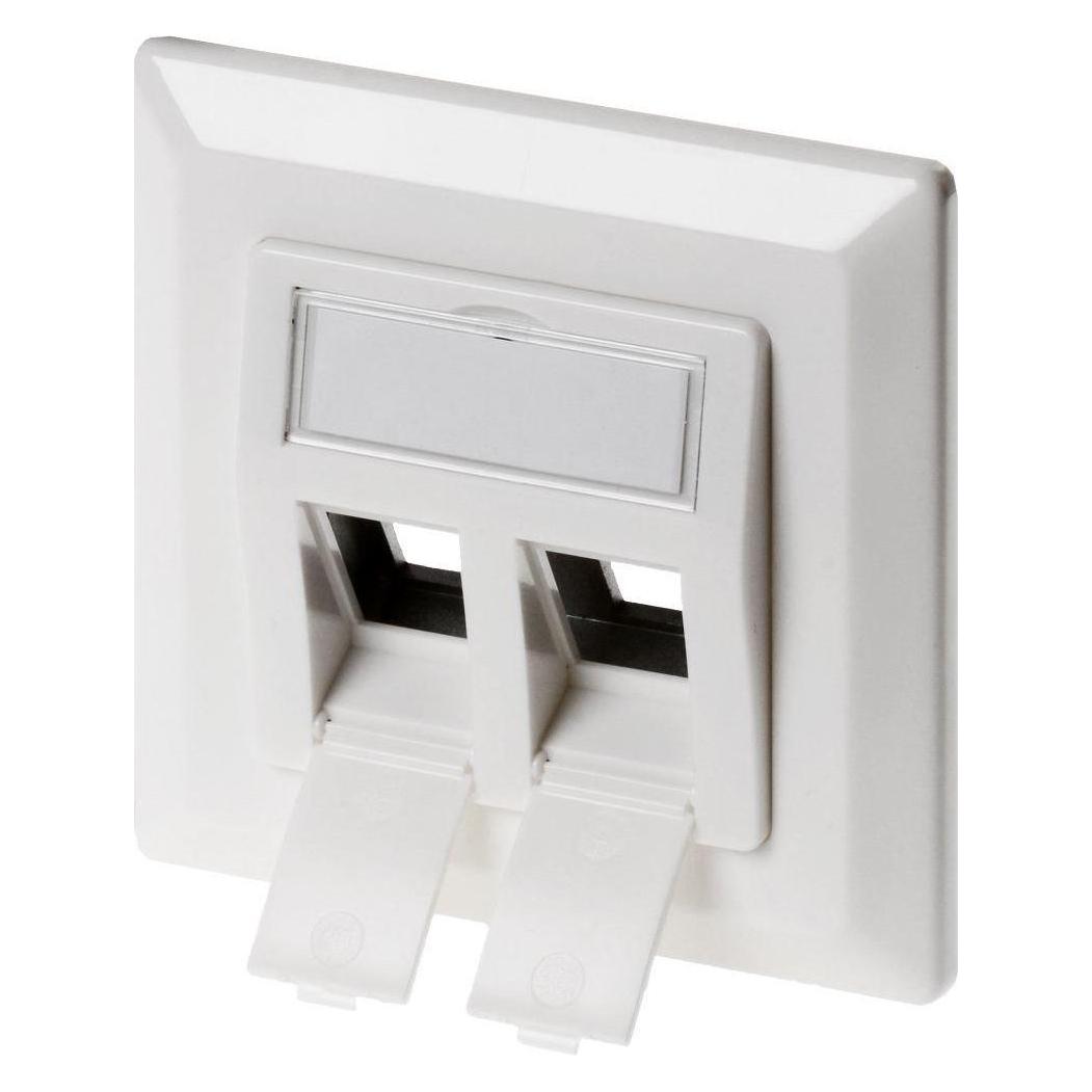Delock Keystone Wall Outlet (86202)