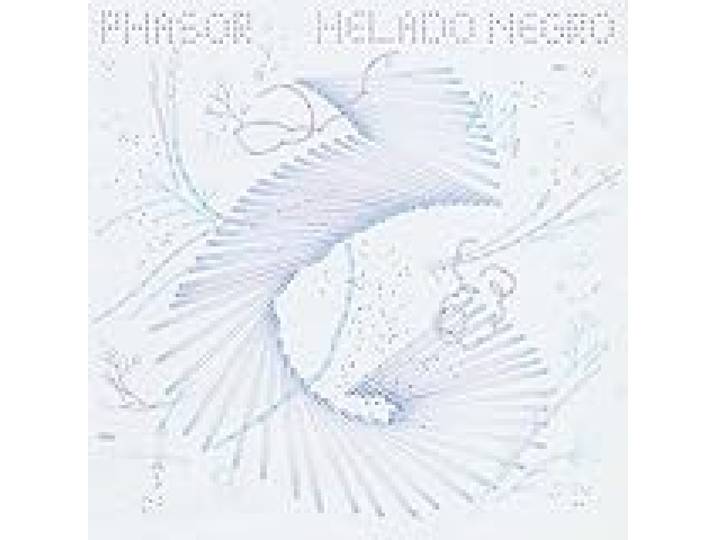 Phasor