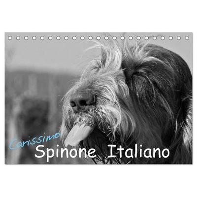 Carissimo Spinone Italiano (Tischkalender 2027 DIN A5 quer), CALVENDO Monatskalender