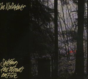 Setting the Woods on Fire - Preis vom 27.09.2026 03:53:48 h