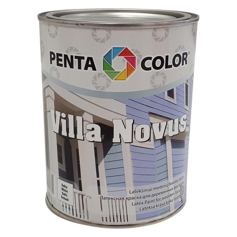 Pentacolor Facade Paint Villa Novus (Green 1 (1000 ml) (33041562)