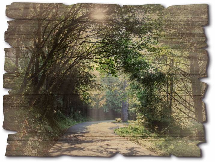 Holzbild ARTLAND Sonniger Wald , grün (farbe bild(er): grün), B:40cm H:30cm, Bilder, Holzbild