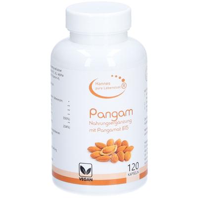 Pangam Vitamin B15 Kapseln 120 St