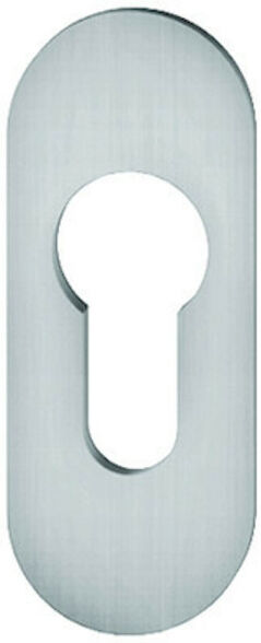 FSB Rosace de clé PT, PZ, 0 17 1729, ovale, F69 mat (0 17 1729 01010 6204)