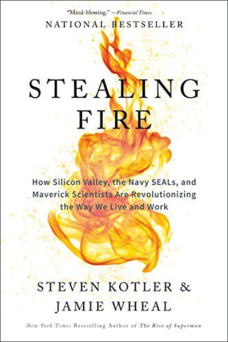 Steven Kotler - Stealing Fire: How Silicon Valley, the Navy SEALs, and Maverick Scientists Are Revolutionizing the Way We Live and Work - Preis vom 13.10.2026 11:25:28 h