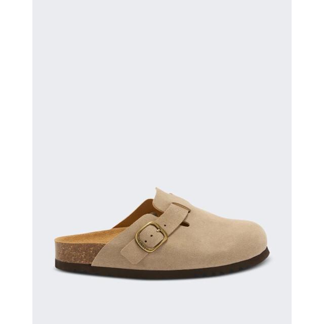 Scholl Dames fae dark