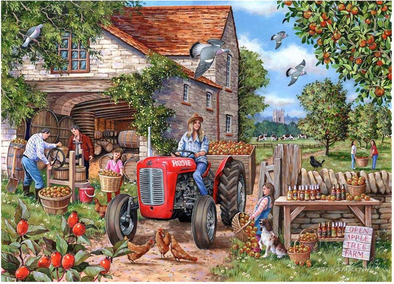 House of Puzzles Puzzel Cider & Rosie 500 stukjes