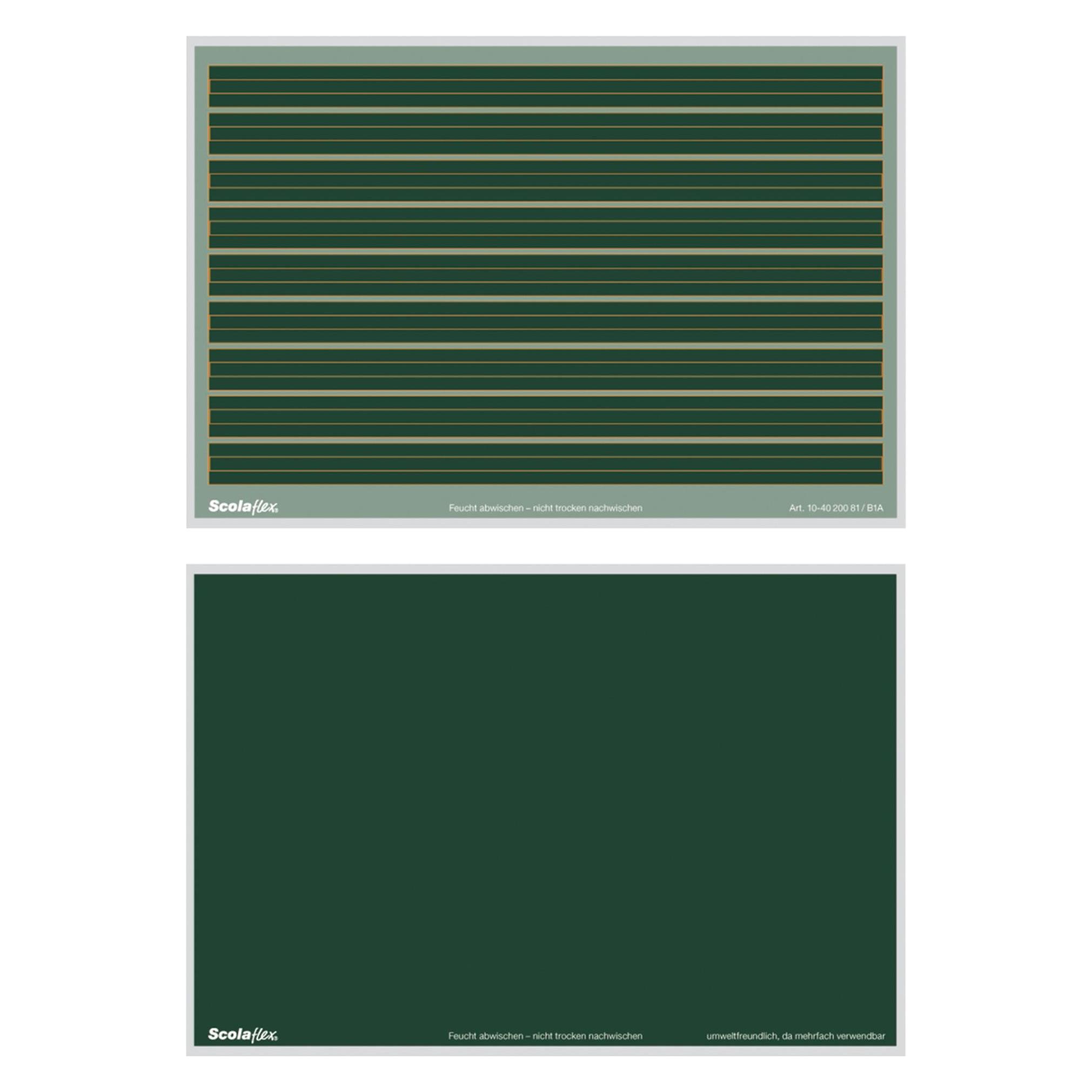 Staufen Tafel Lin.1 / blanko Plastik B1a (794724000)