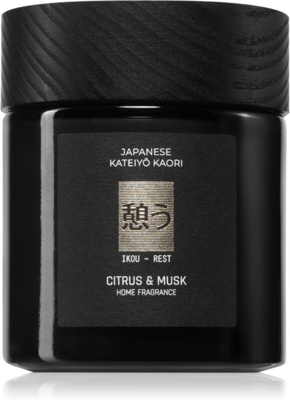 Vila Hermanos Apothecary Japanese Rest scented candle 150 g