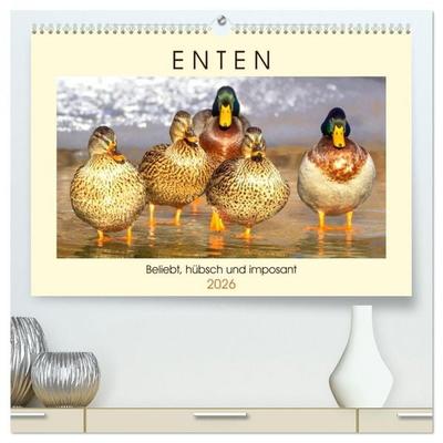 Enten. Beliebt, hübsch und imposant (hochwertiger Premium Wandkalender 2026 DIN A2 quer), Kunstdruck in Hochglanz