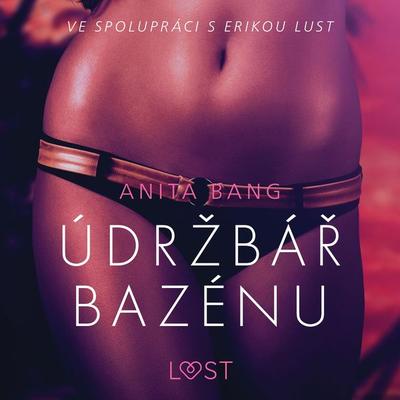 Údržbář bazénu – Sexy erotika - Anita Bang, Audio, 9788726213645
