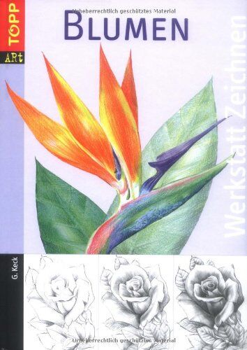 Geko Keck - Werkstatt Zeichnen: Blumen - Preis vom 09.10.2026 07:28:09 h