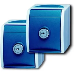 Busch-Jaeger Schuko-Steckdose 2xAP 2 gleiche Schlösser 20/20 EWSL-53
