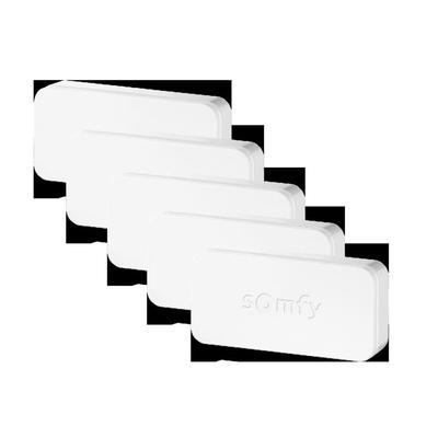 Somfy Funk-Sensor Set 2401488 (VE5)
