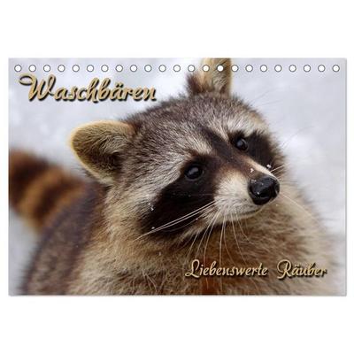 Waschbären (Tischkalender 2026 DIN A5 quer), CALVENDO Monatskalender