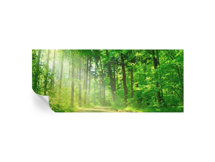 Wallfluent Fototapete 250x104 cm - Waldweg, Grün, 250x104 cm, Tapeten & Wandverkleidungen, Fototapeten
