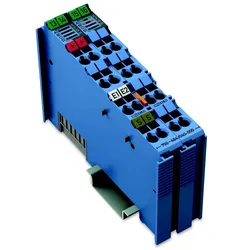 WAGO GmbH &amp; Co. KG 2-Kanal-Analogeingang 750-484/040-000
