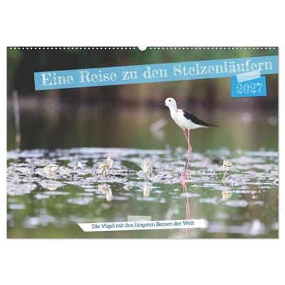 Eine Reise zu den Stelzenläufern (Wandkalender 2027 DIN A2 quer), CALVENDO Monatskalender