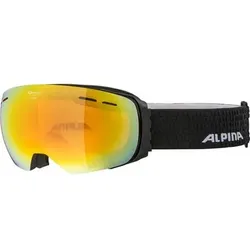 ALPINA Skibrille "Granby HM", Größe ONE SIZE in Schwarz 835