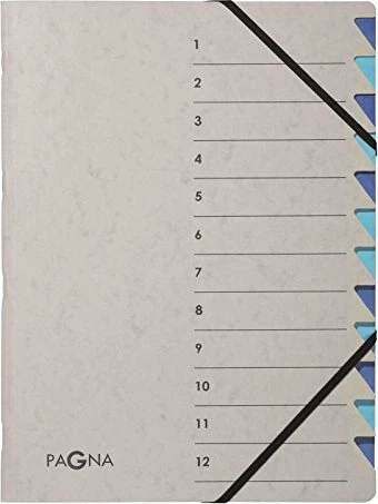 PAGNA Ordnungsmappe Easy Grey 12 Fächer grau