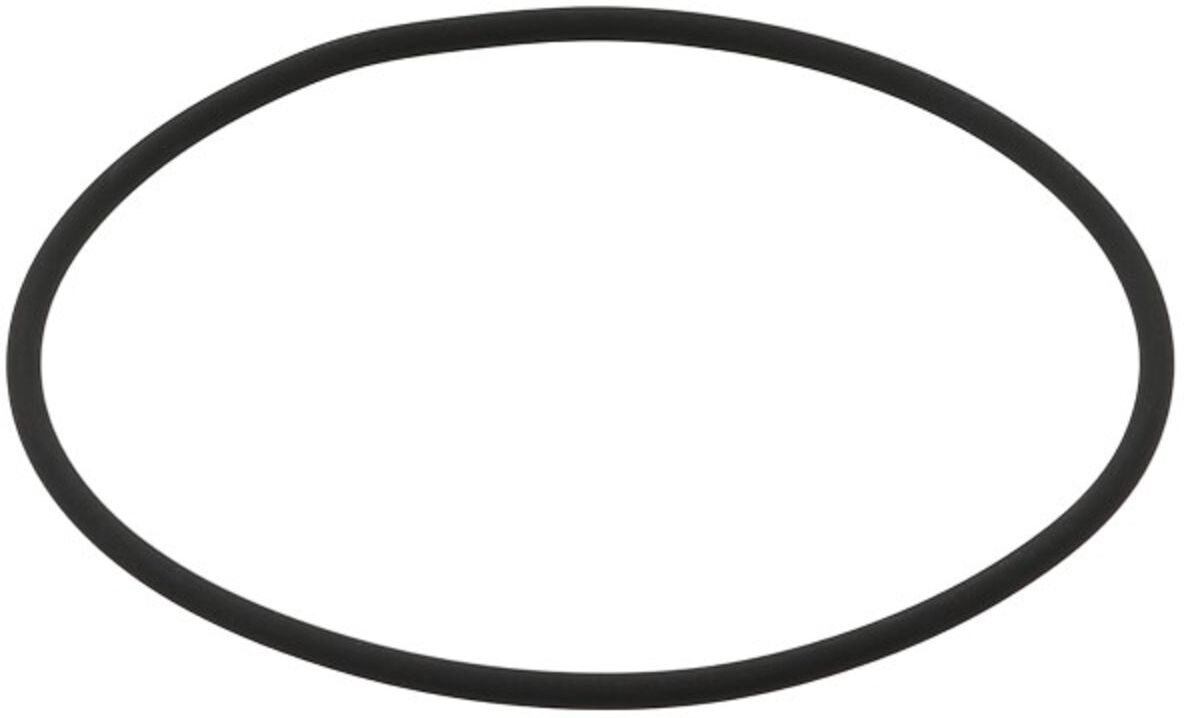Elring O-ring in gomma 341150