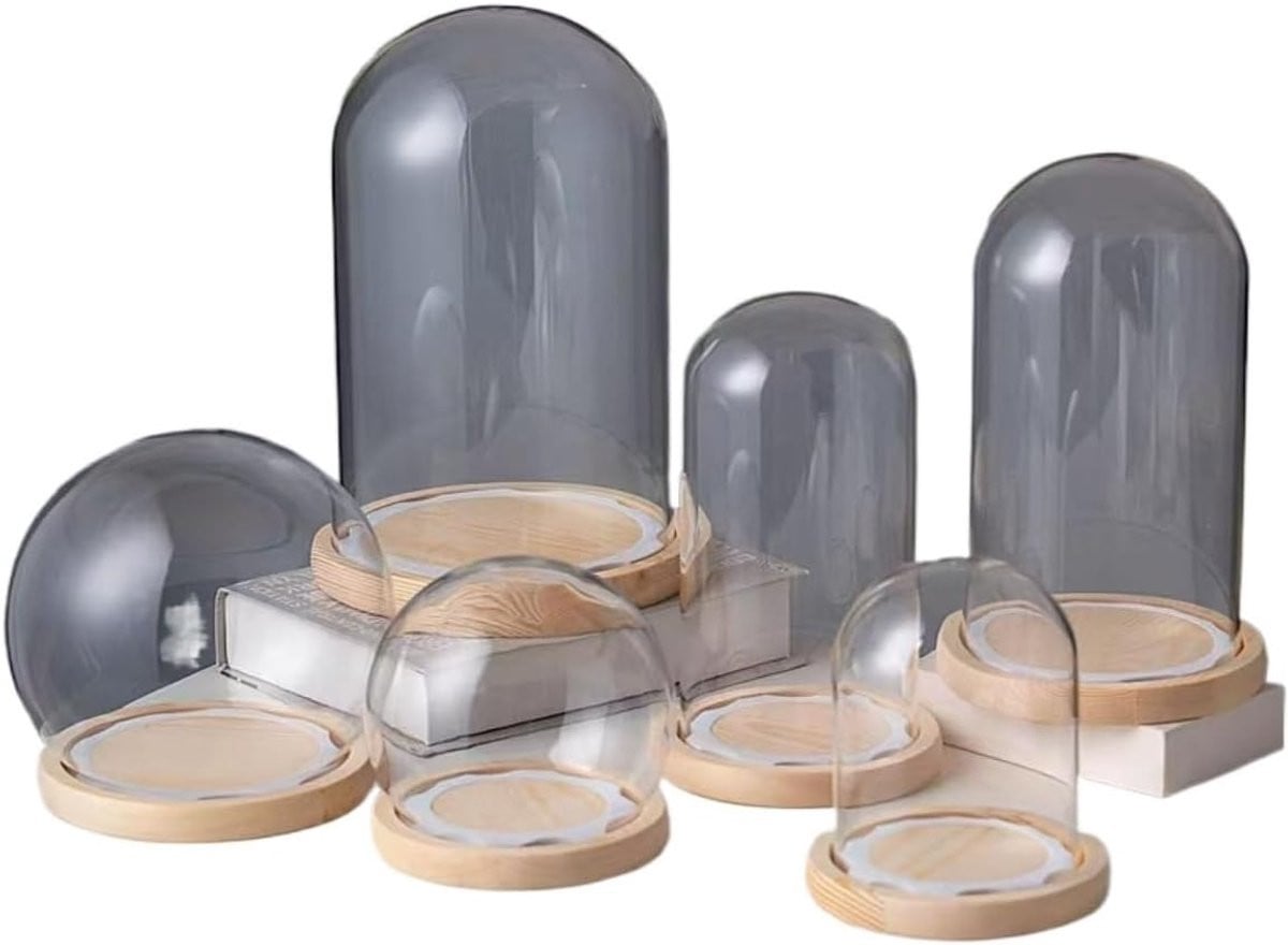Glazen stolp met houten basis - Decoratieve display koepel vitrine