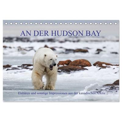 AN DER HUDSON BAY (Tischkalender 2027 DIN A5 quer), CALVENDO Monatskalender
