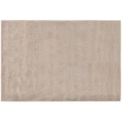 Webteppich  Luna , beige , Synthetische Fasern , Maße (cm): B: 80