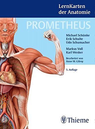 Erik Schulte - PROMETHEUS LernKarten der Anatomie - Preis vom 15.10.2026 23:06:25 h