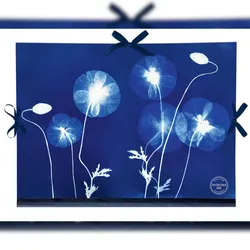 Clairefontaine 5x Cyanotypie, Zeichenmappe 28x38cm, Verschluss mit 3 Bändern - 83513C