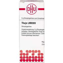 Thuja Lm Xxiv 5 G